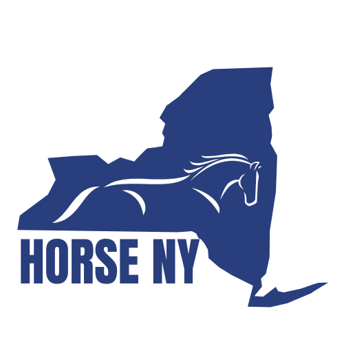 Horse NY